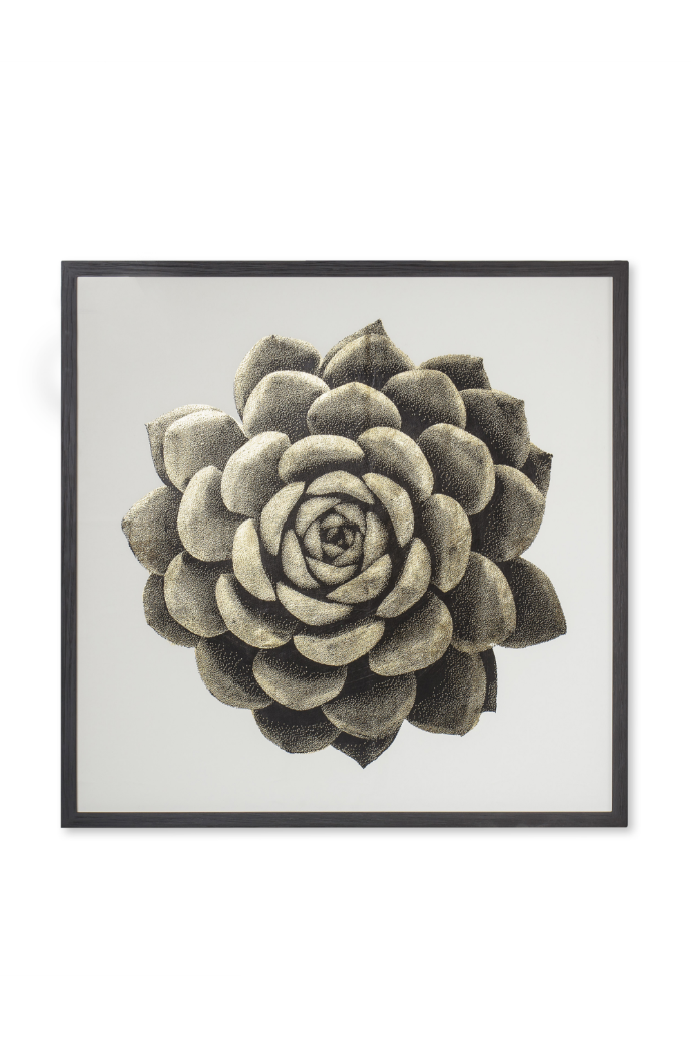 Contemporary Nature Wall Art | Andrew Martin Gold Succulent | Oroa.com