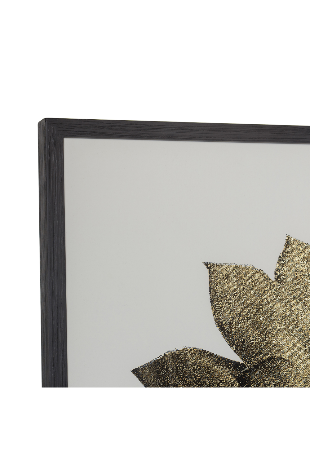 Contemporary Nature Wall Art | Andrew Martin Gold Succulent | Oroa.com