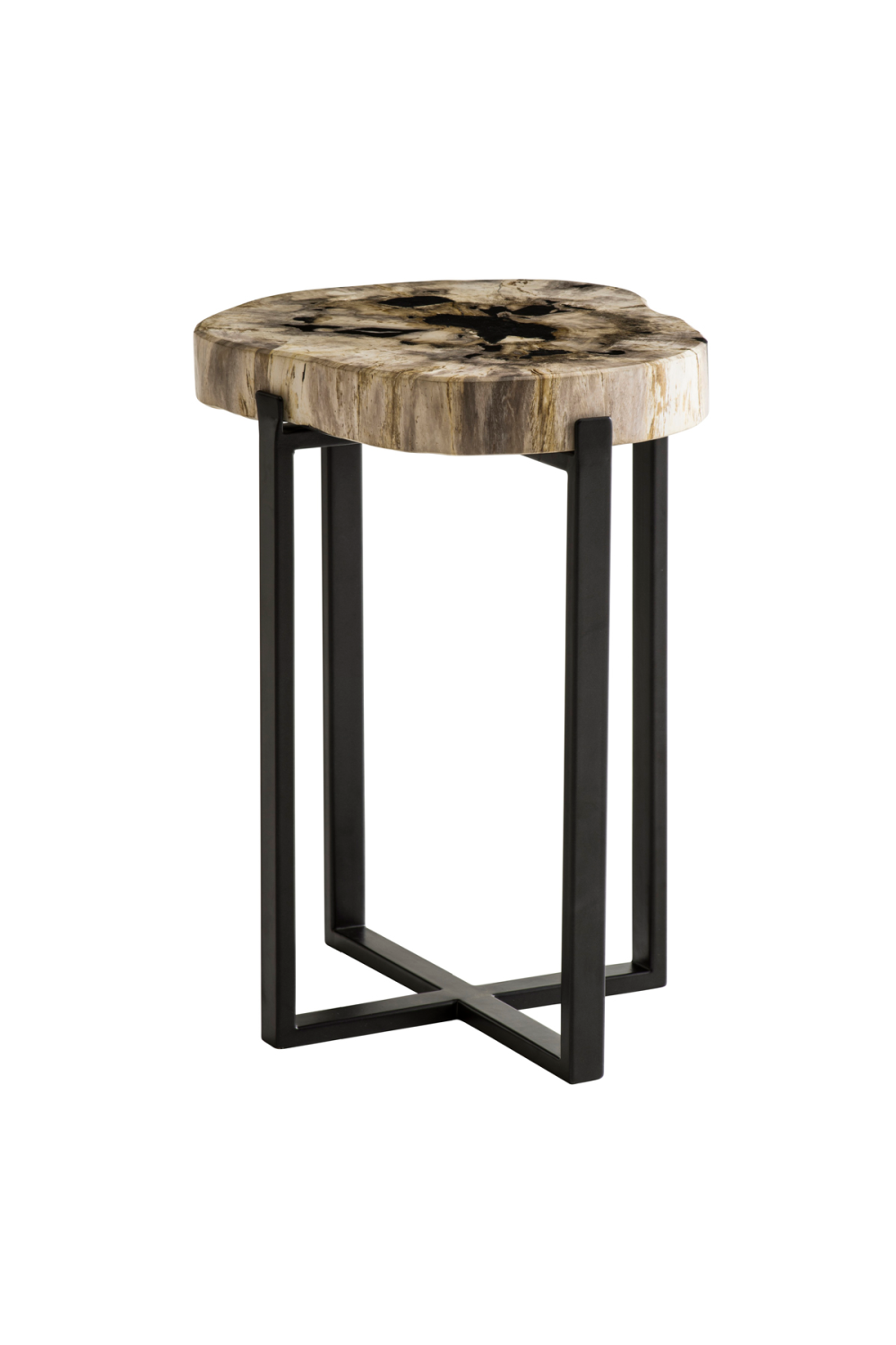 Petrified Wood Lamp Table | Andrew Martin Peter Disk | OROA