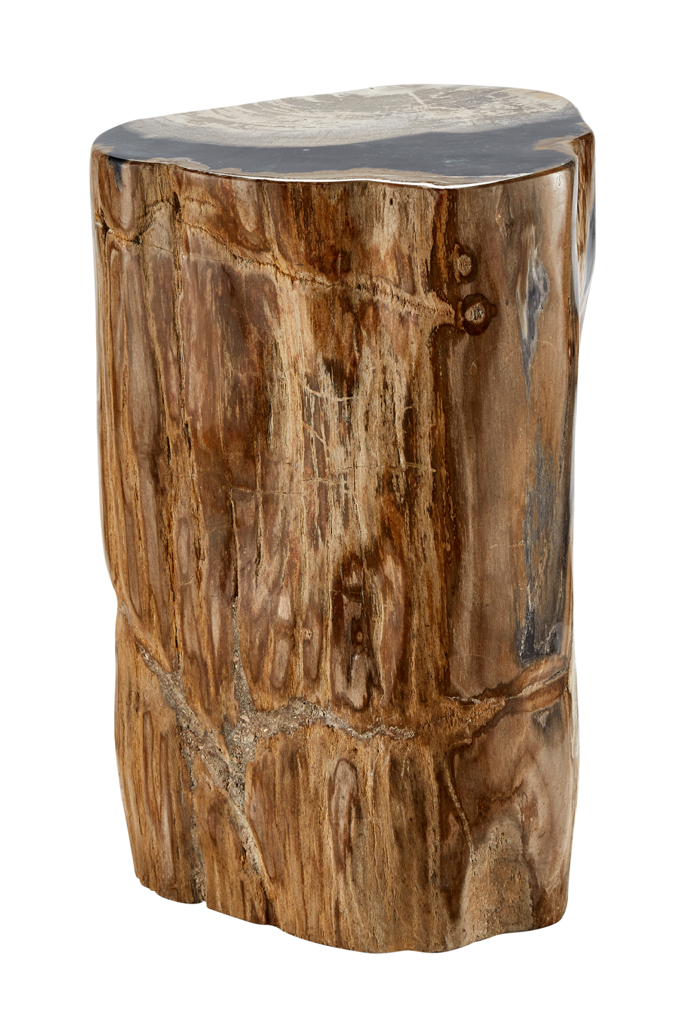 Hand-Polished Petrified Wood Stool | Andrew Martin Log | OROATRADE