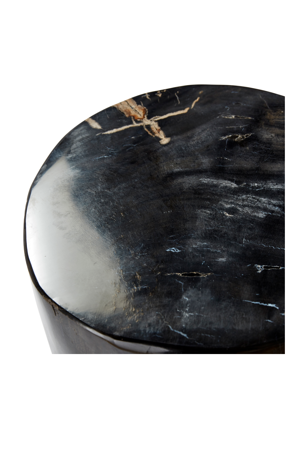 Hand-Polished Petrified Wood Stool | Andrew Martin Log | OROATRADE