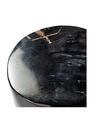 Hand-Polished Petrified Wood Stool | Andrew Martin Log | OROATRADE