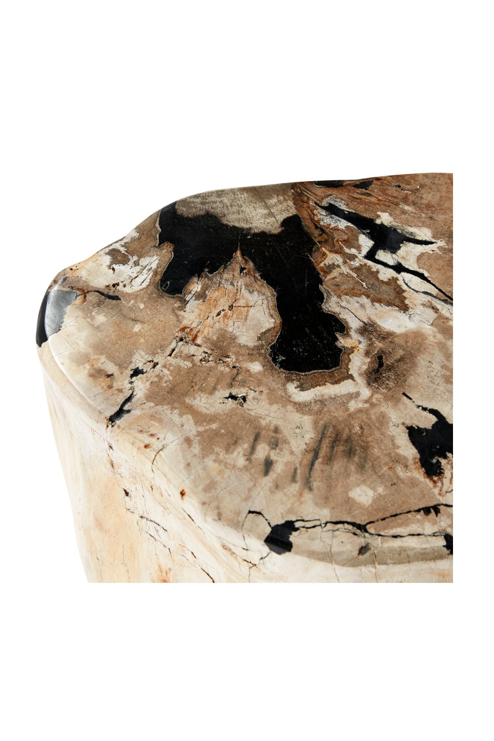 Hand-Polished Petrified Wood Stool | Andrew Martin Log | OROATRADE