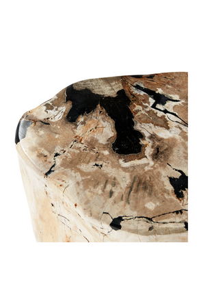 Hand-Polished Petrified Wood Stool | Andrew Martin Log | OROATRADE