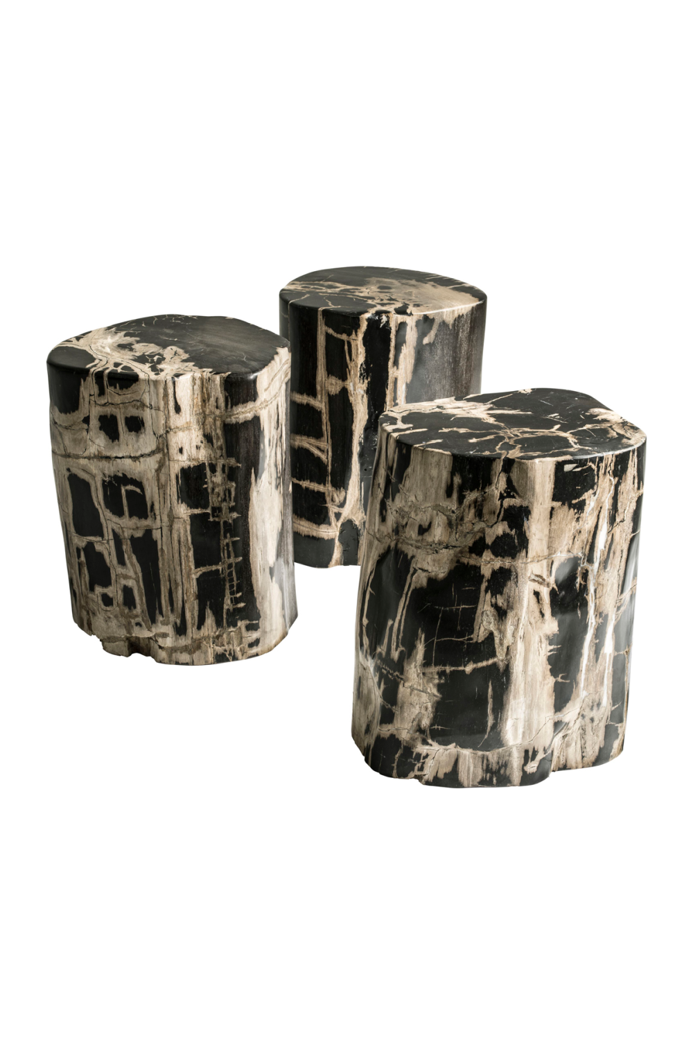 Hand-Polished Petrified Wood Stool | Andrew Martin Log | OROATRADE