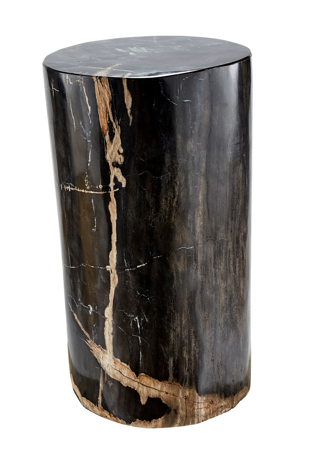 Hand-Polished Petrified Wood Stool | Andrew Martin Log | OROATRADE