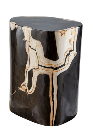 Hand-Polished Petrified Wood Stool | Andrew Martin Log | OROATRADE