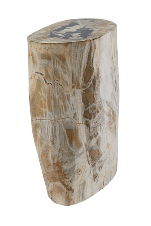 Hand-Polished Petrified Wood Stool | Andrew Martin Log | OROATRADE