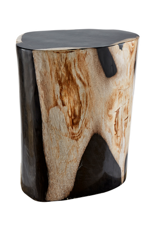 Hand-Polished Petrified Wood Stool | Andrew Martin Log | OROATRADE