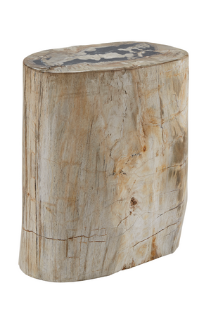 Hand-Polished Petrified Wood Stool | Andrew Martin Log | OROATRADE