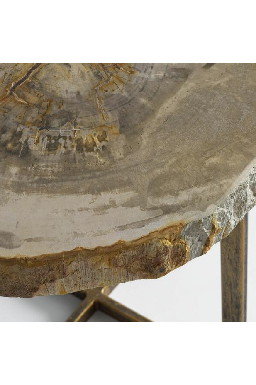 Light Round Petrified Wood Side Table | Andrew Martin Jonah | OROA.com