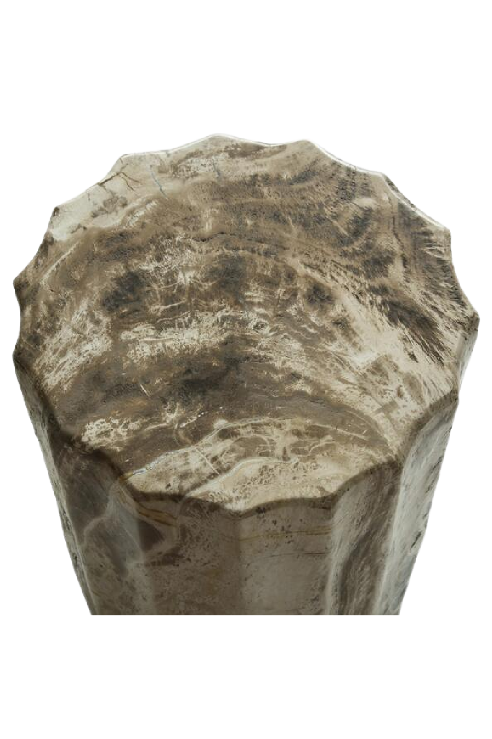 Petrified Wood Side Table | Andrew Martin | Oroa.com