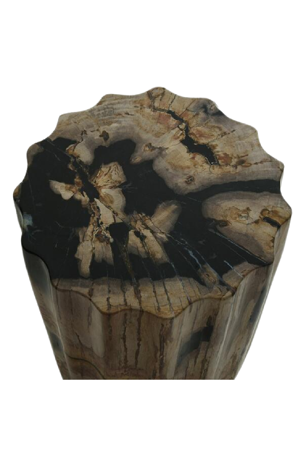 Petrified Wood Side Table | Andrew Martin | Oroa.com