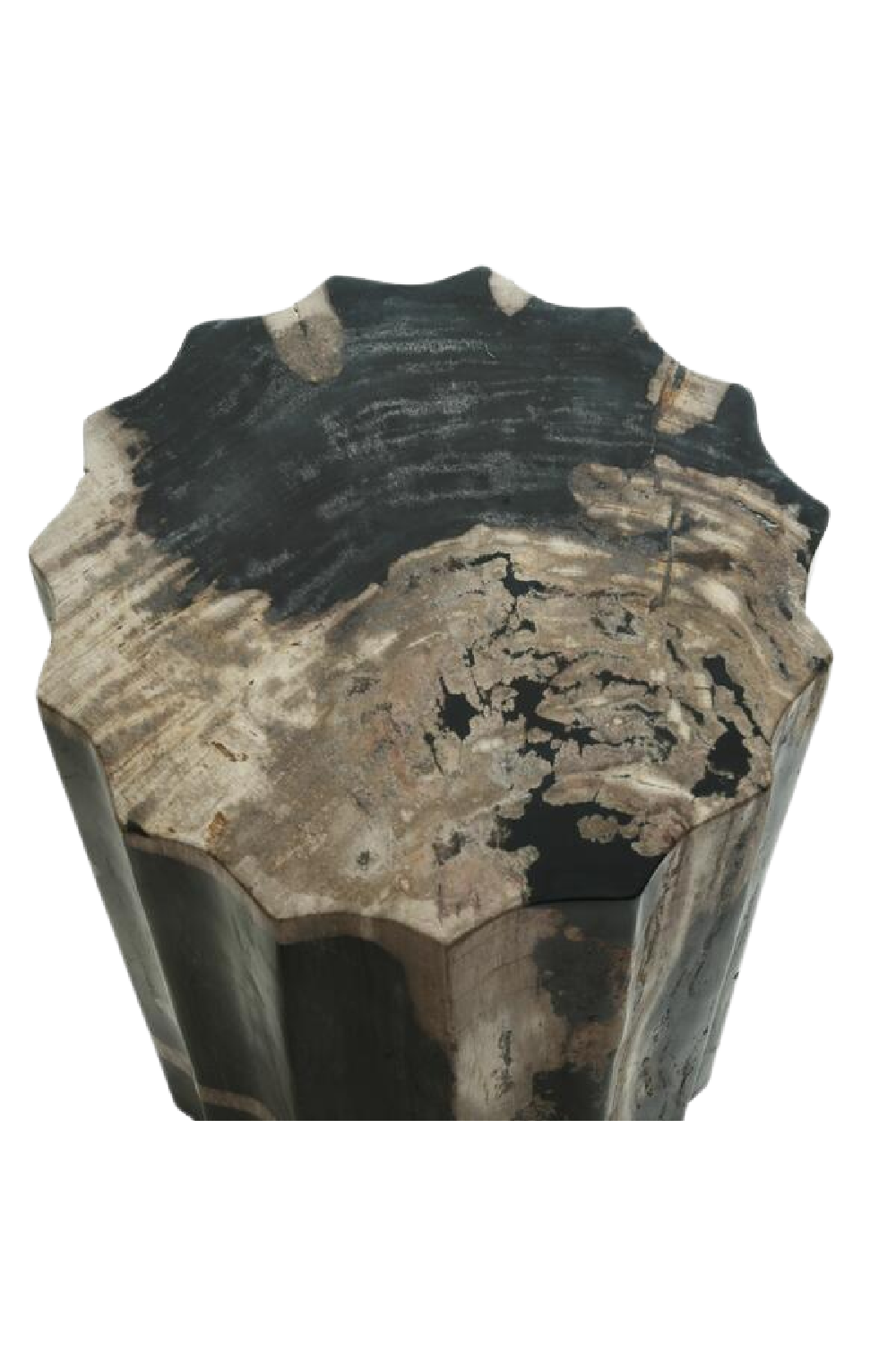 Petrified Wood Side Table | Andrew Martin | Oroa.com