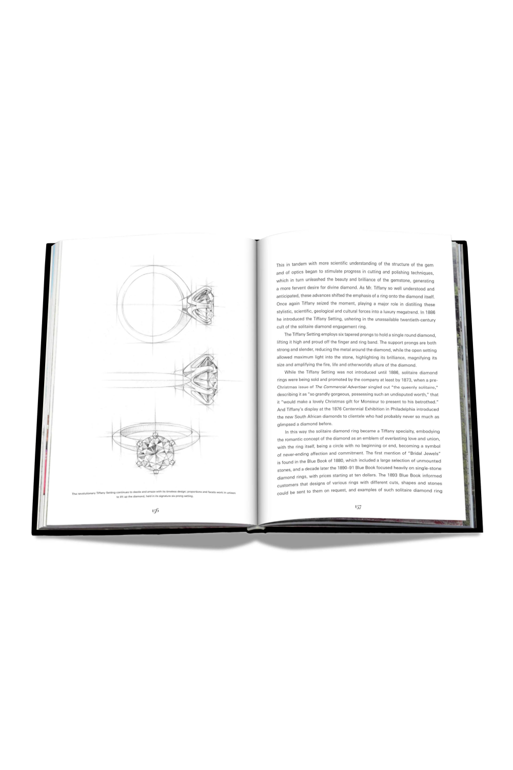 Handcrafted Silk Coffee Table Book (Icon Edition) | Assouline Tiffany & Co. Vision and Virtuosity | Oroa.com