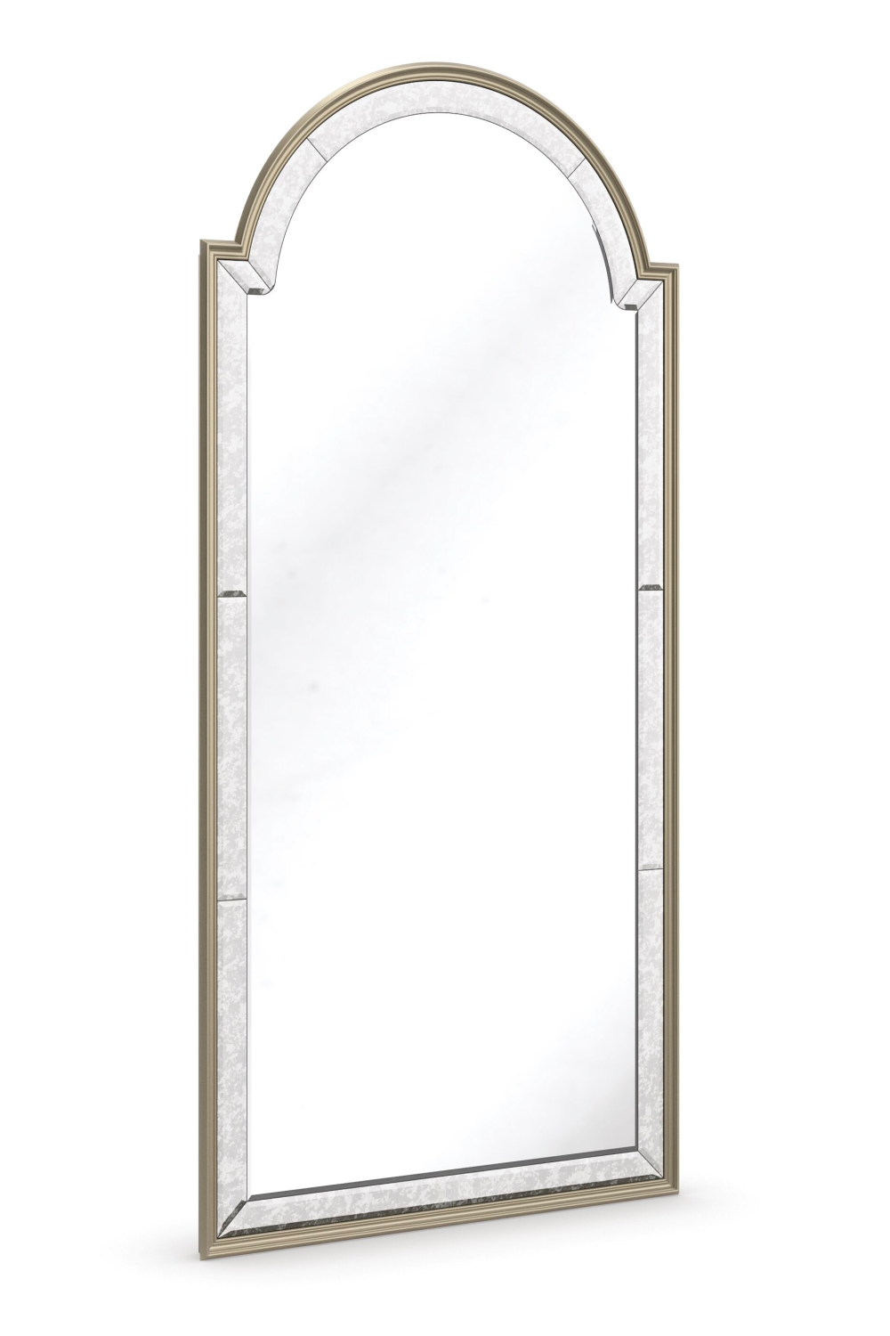 Vintage Border Floor Mirror | Caracole Big Reveal | Oroa.com