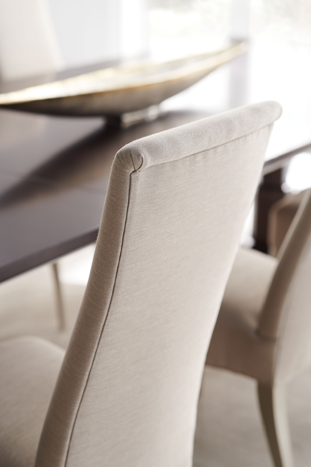 Modern Minimalist Dining Chair | Caracole Socially Acceptable | Oroa.com