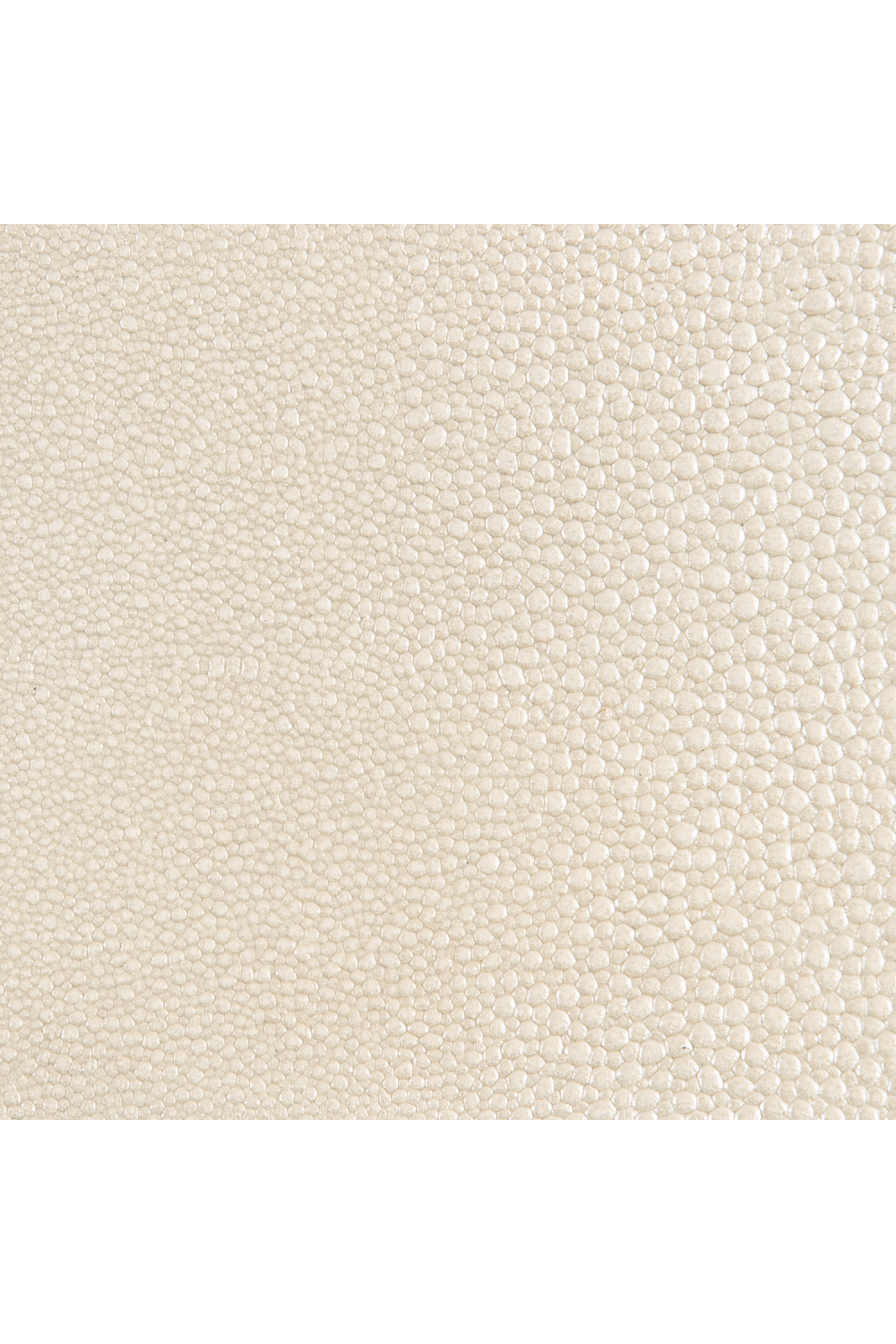   Shagreen Curved Mirror | Oroa.com