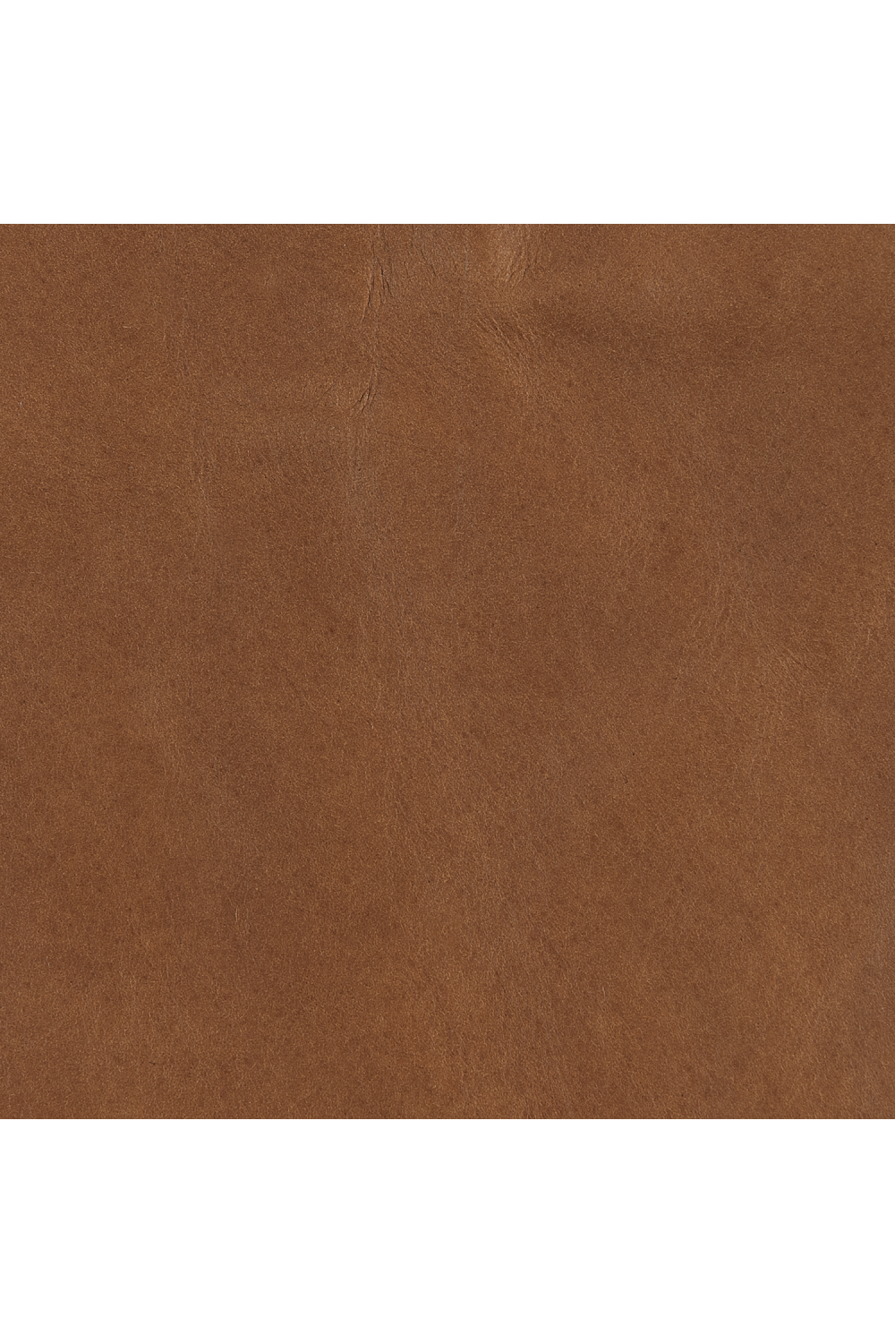 Brown Leather Lounge Chair | Caracole Rhythm | Oroa.com