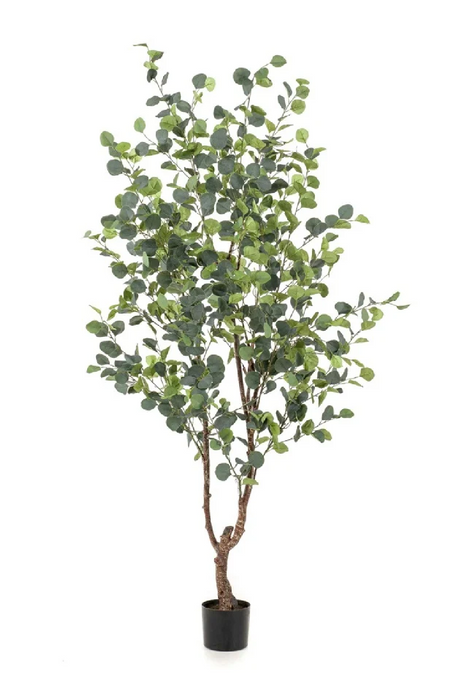 Faux Green Leafy Tree Set (2) | Emerald Eucalyptus | Oroa.com