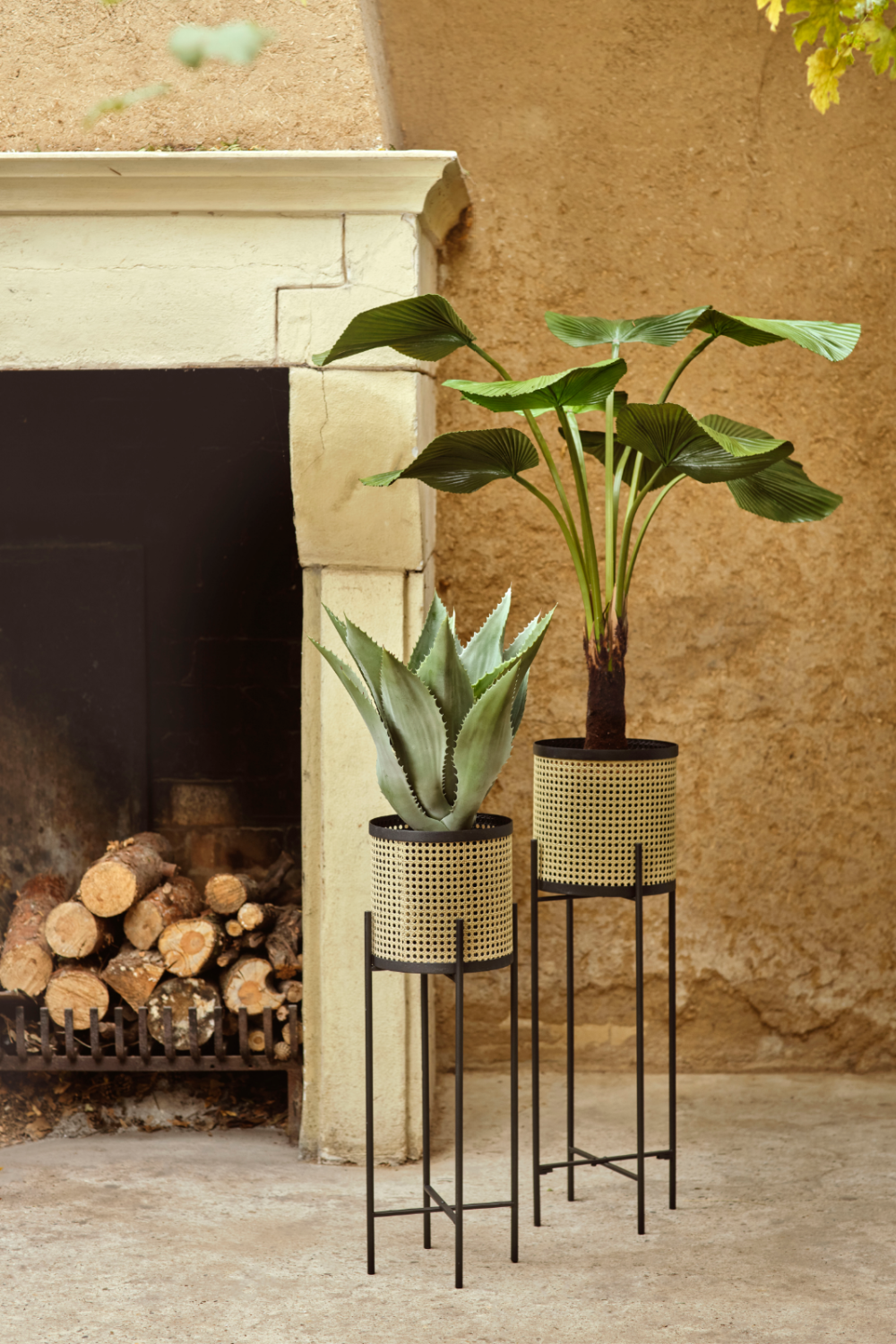 Faux Fan Palm Deco | Emerald Licuala | Oroa.com