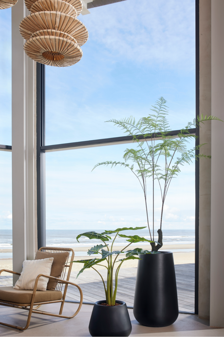 Decorative Potted Faux Plant Set (2) | Emerald Fern Forest On Trunk | Oroa.com