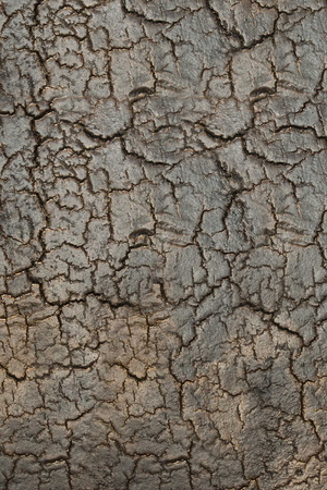 Mineral Three-Legged Side Table | Ethnicraft Triptic | Oroa.com