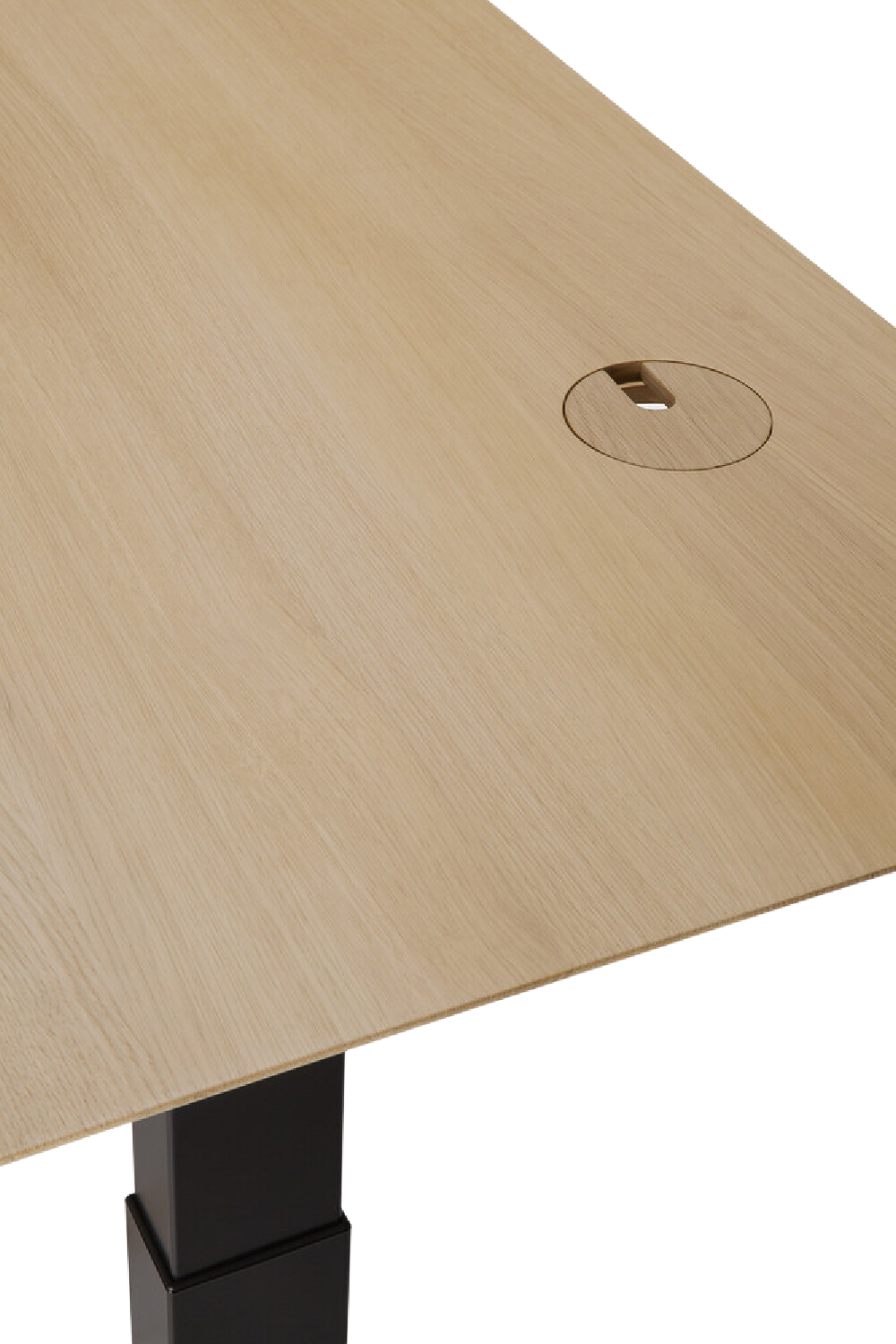 Oak Adjustable Desk M | Ethnicraft Bok | Oroa.com