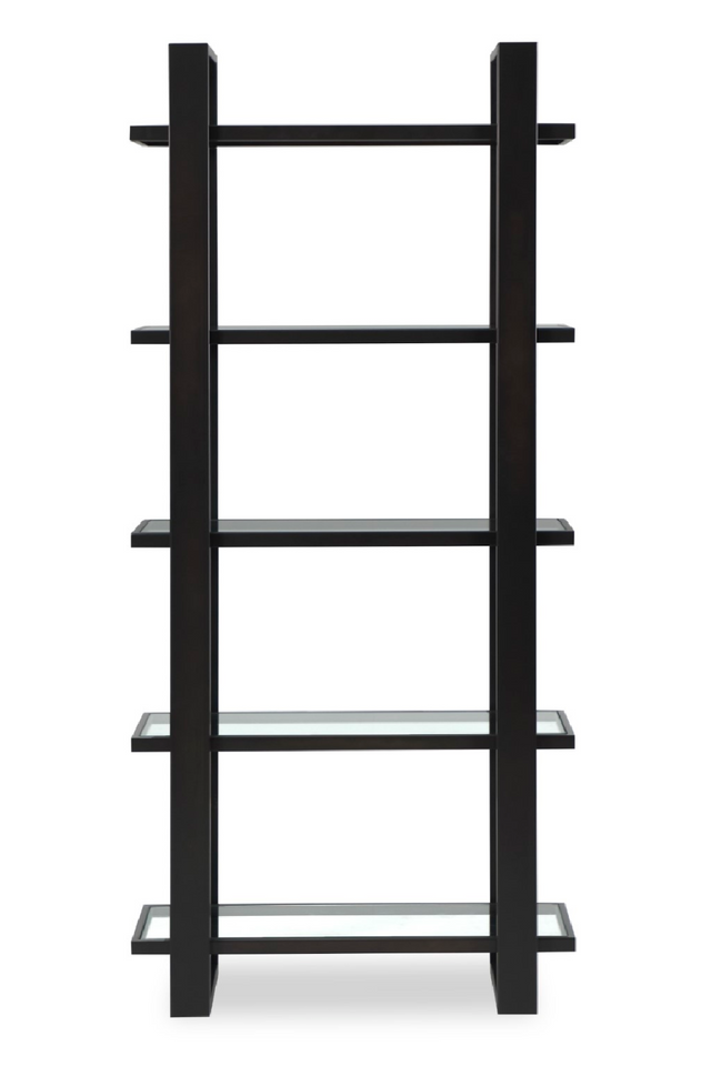 Dark Brown/Black Metal Glass Bookcase | Liang & Eimil Arundel | Oroa.com