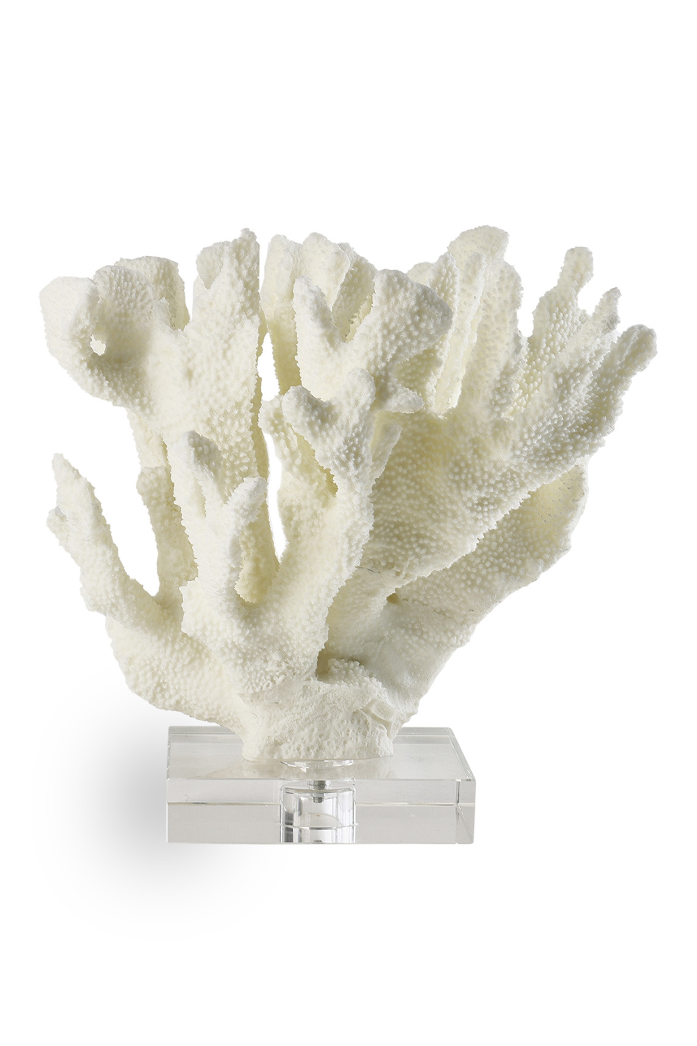 White Coral Sculpture | Liang & Eimil Rara | Oroa.com