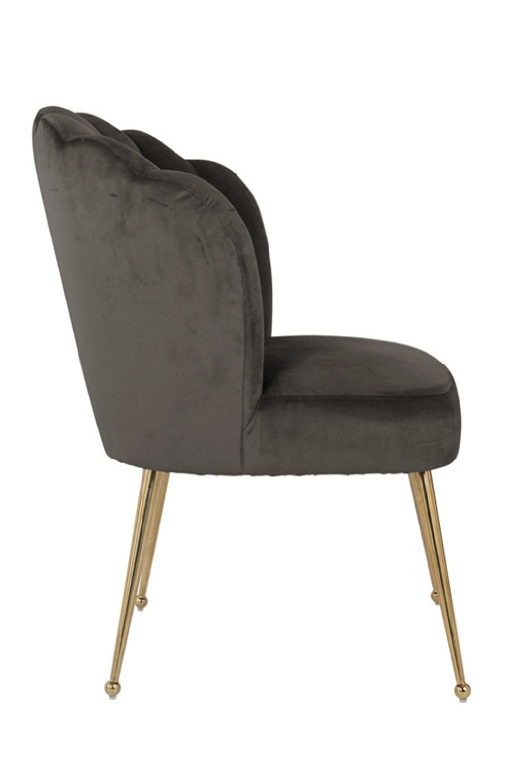 Scalloped Stone Velvet Gold Leg Chair | OROA | OROA