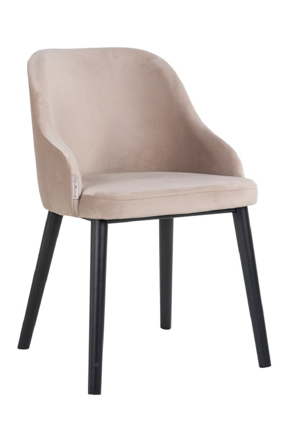 Modern Minimalist Dining Chair | OROA Twiggy | Oroa.com