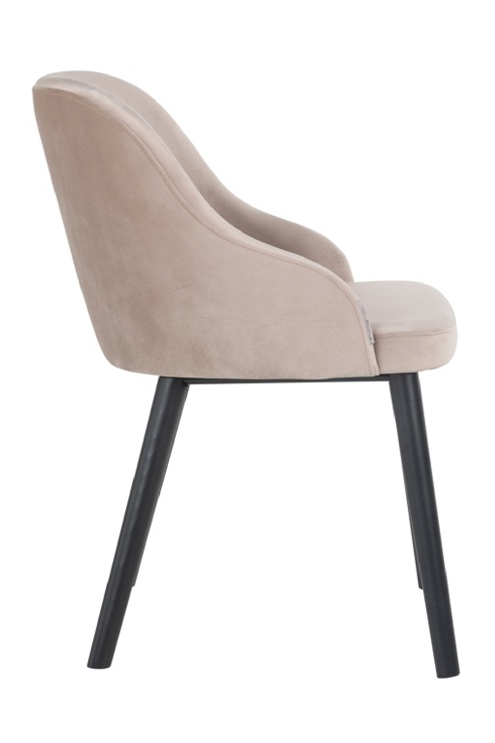 Modern Minimalist Dining Chair | OROA Twiggy | Oroa.com