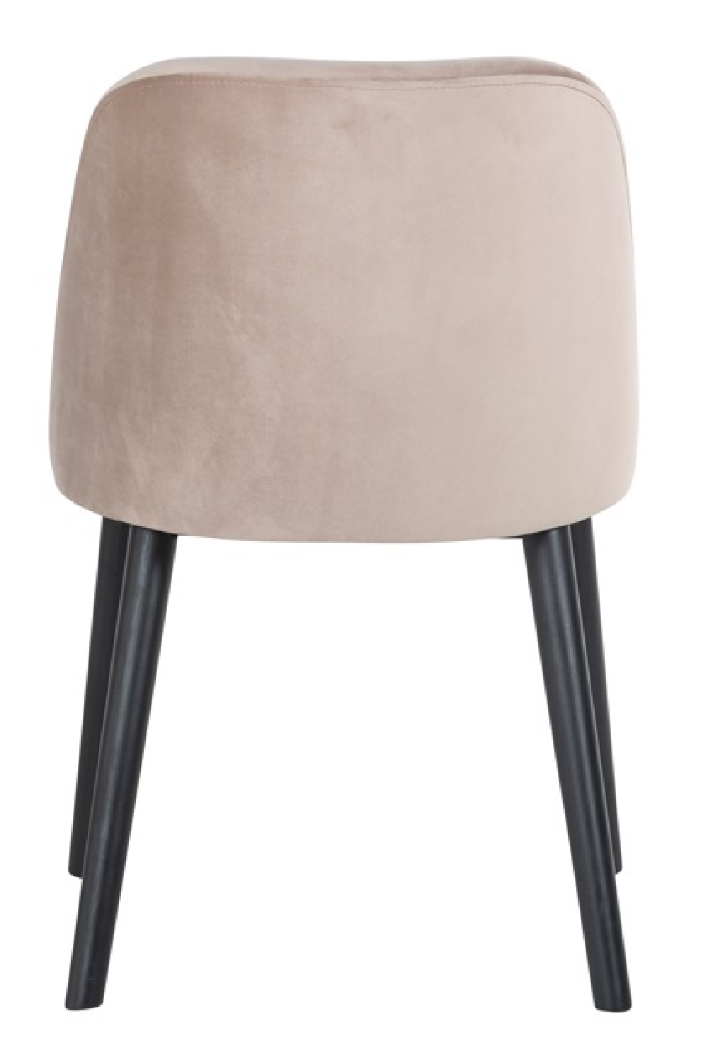 Modern Minimalist Dining Chair | OROA Twiggy | Oroa.com