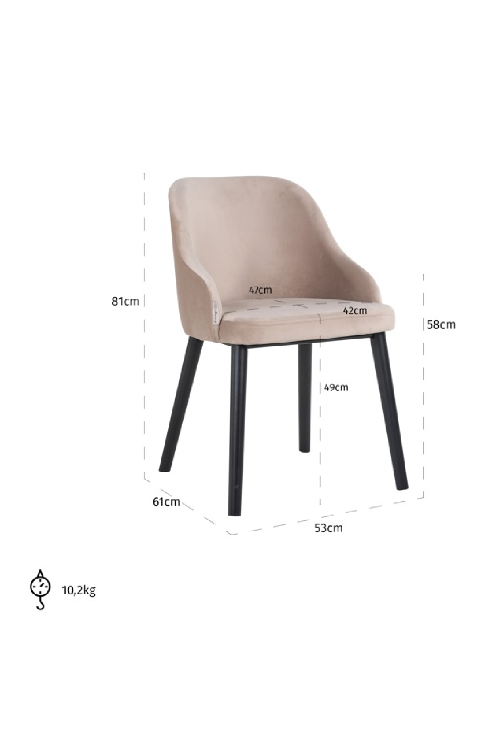 Modern Minimalist Dining Chair | OROA Twiggy | Oroa.com