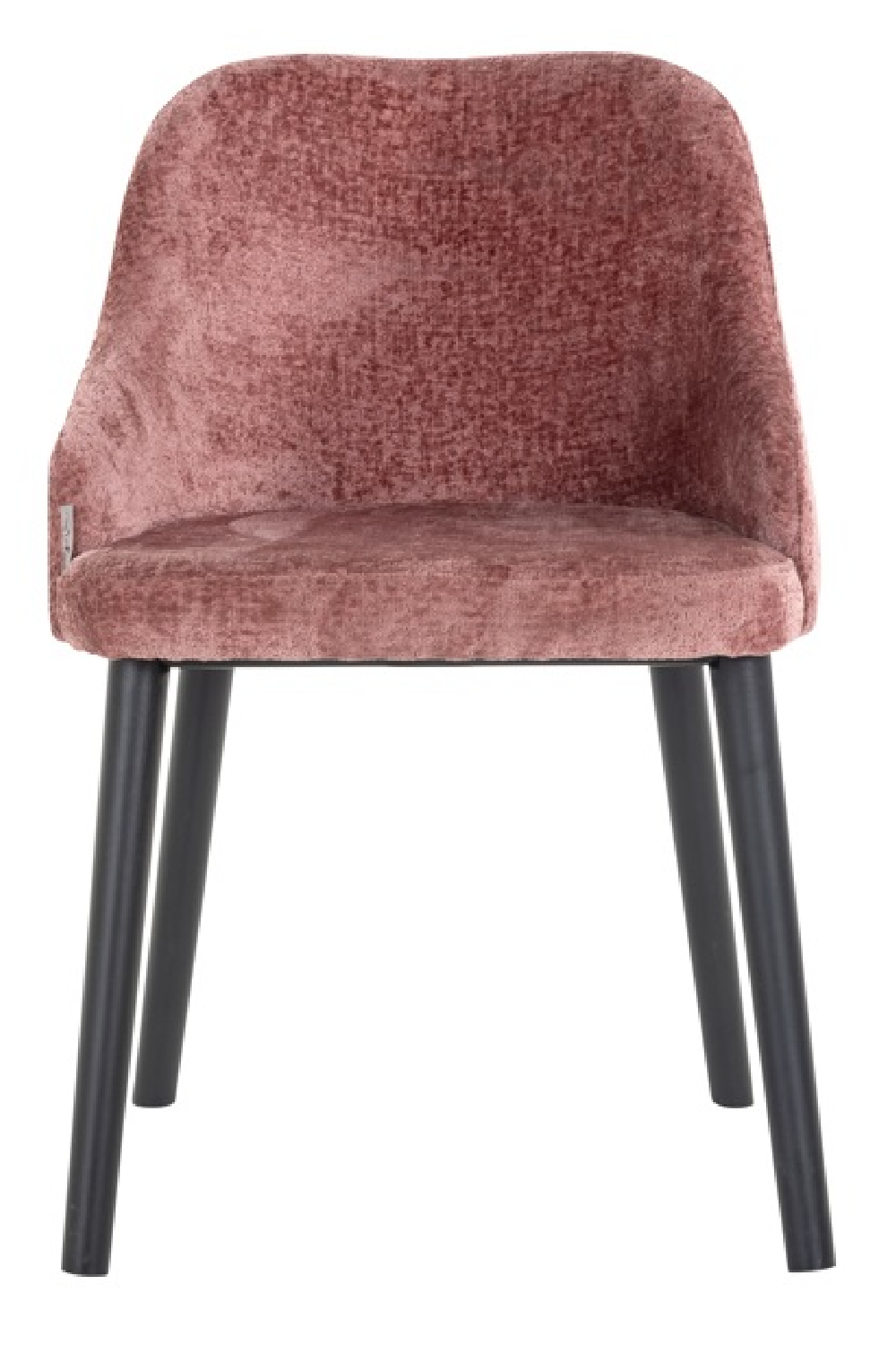 Modern Minimalist Dining Chair | OROA Twiggy | Oroa.com