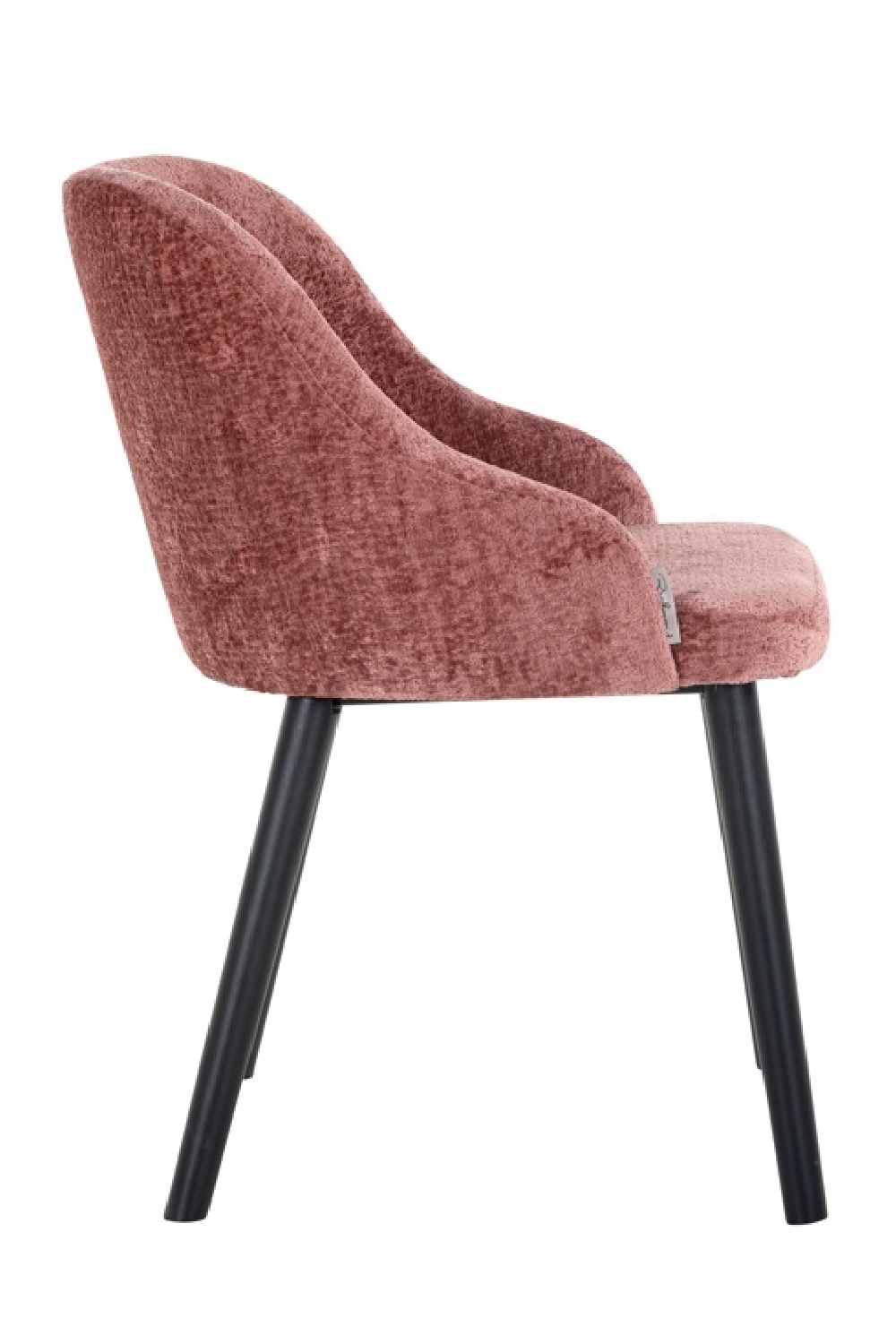 Modern Minimalist Dining Chair | OROA Twiggy | Oroa.com