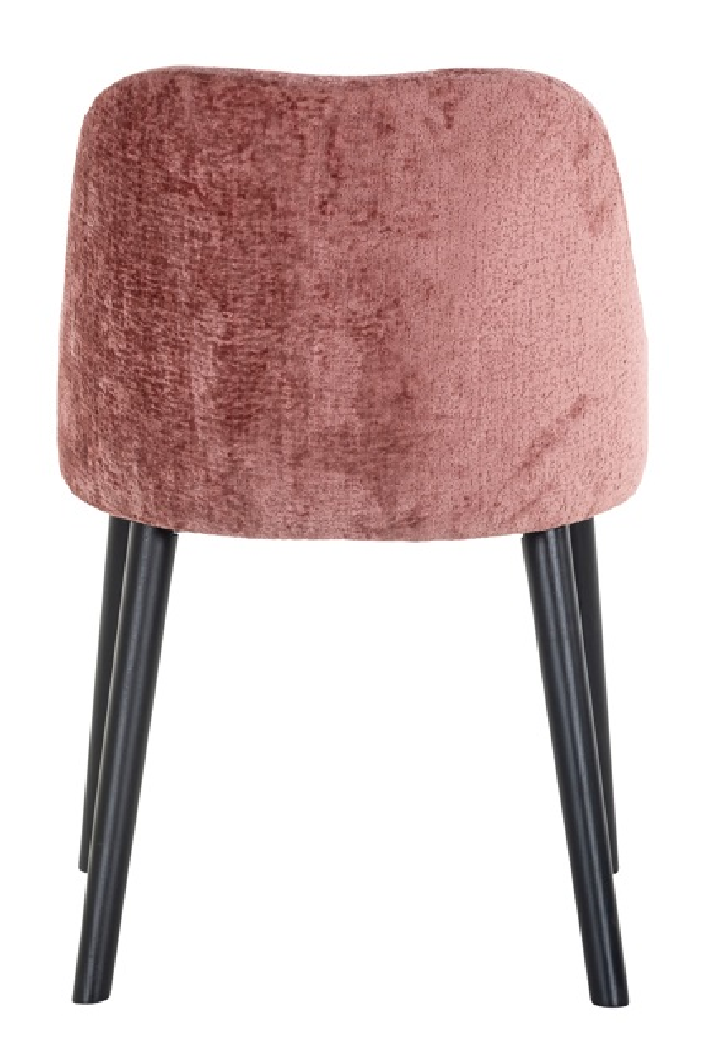 Modern Minimalist Dining Chair | OROA Twiggy | Oroa.com