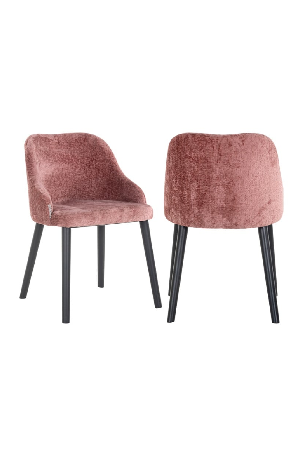 Modern Minimalist Dining Chair | OROA Twiggy | Oroa.com