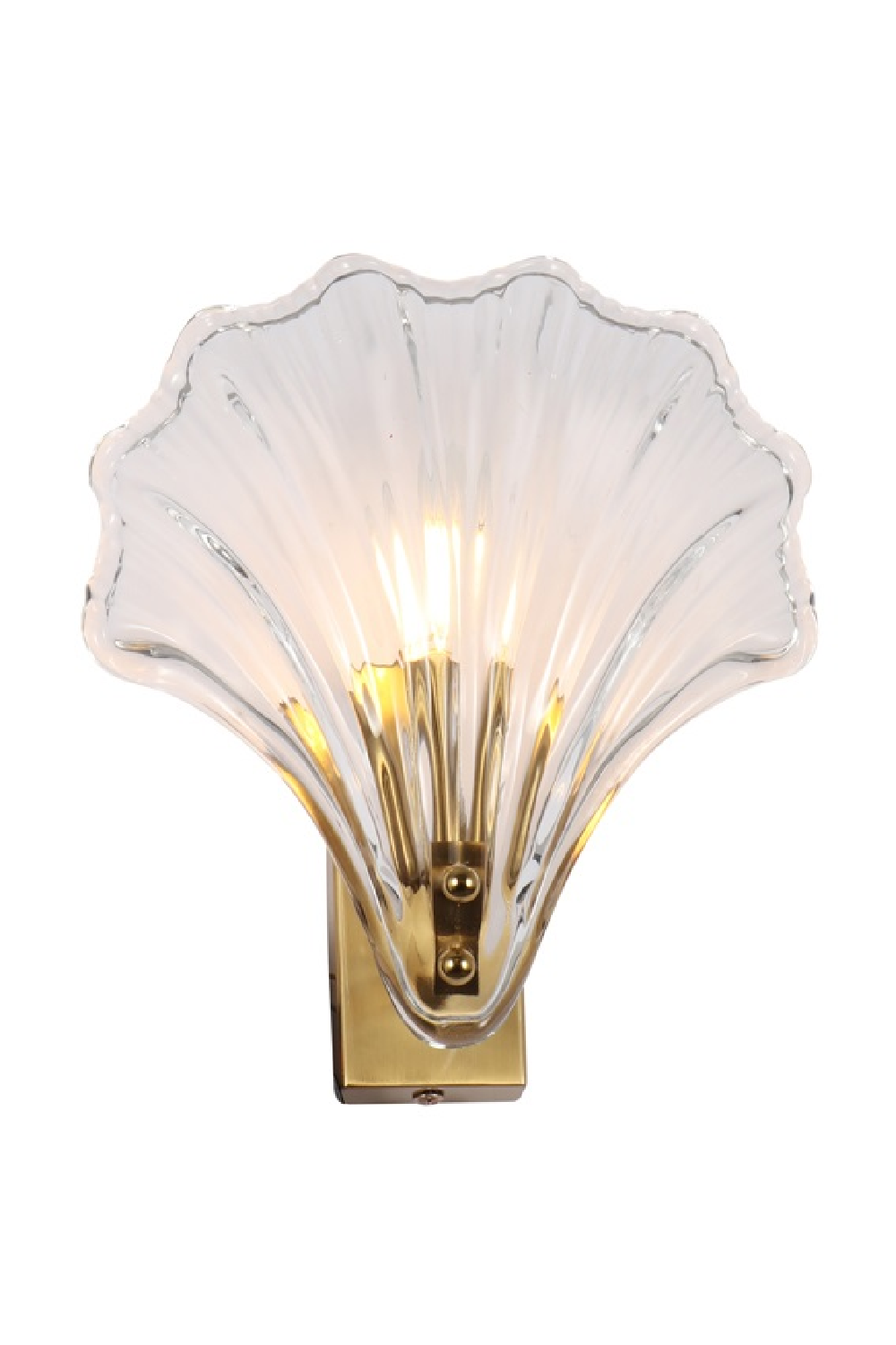 Glass Shell Wall Lamp | OROA Albey | Oroatrade.com