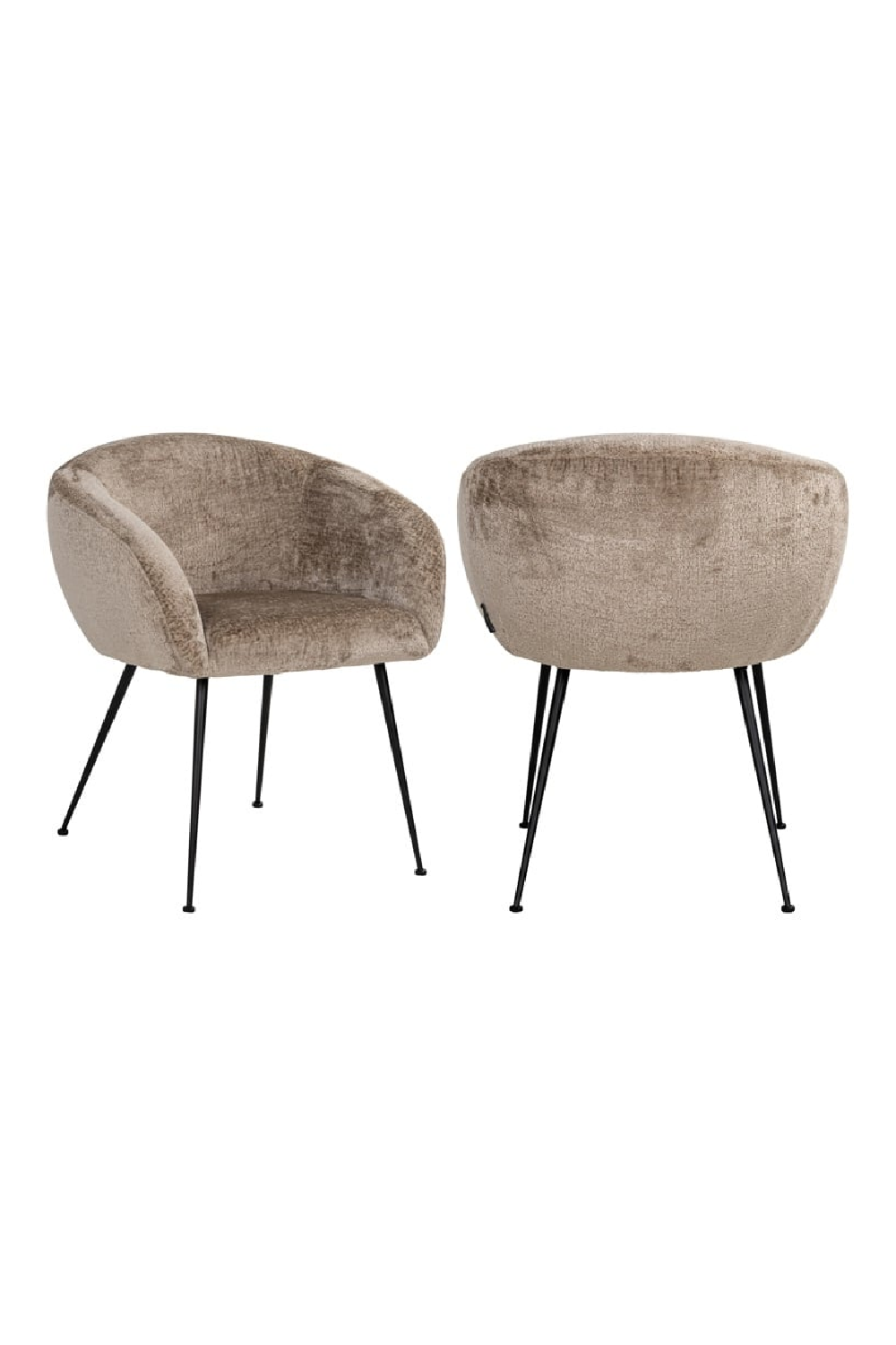 Curved Modern Dining Chair | OROA Ruby | Oroa.com